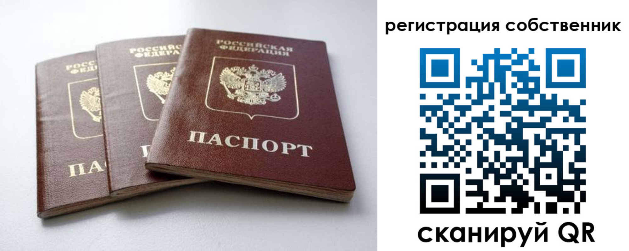 прописка для школы в Грозном